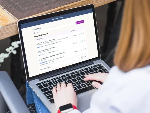 BAiSICS AI legal document analysis platform interface